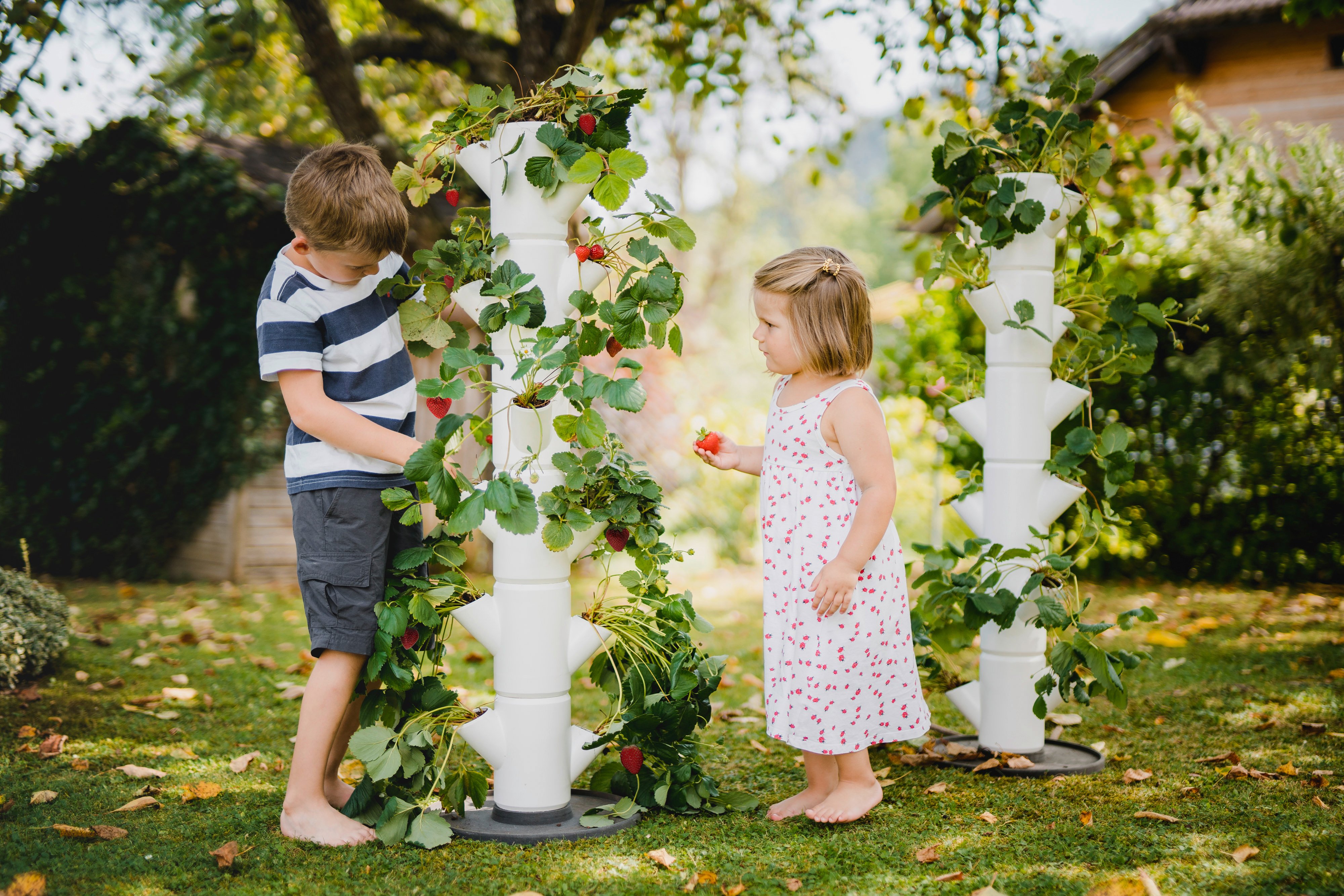 100519_SISSI_STRAWBERRY_classic_white_7