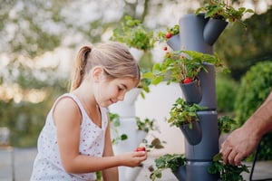 It is no longer a question of why you would buy strawberries at the store, but rather why you would give up the opportunity to grow them yourself.