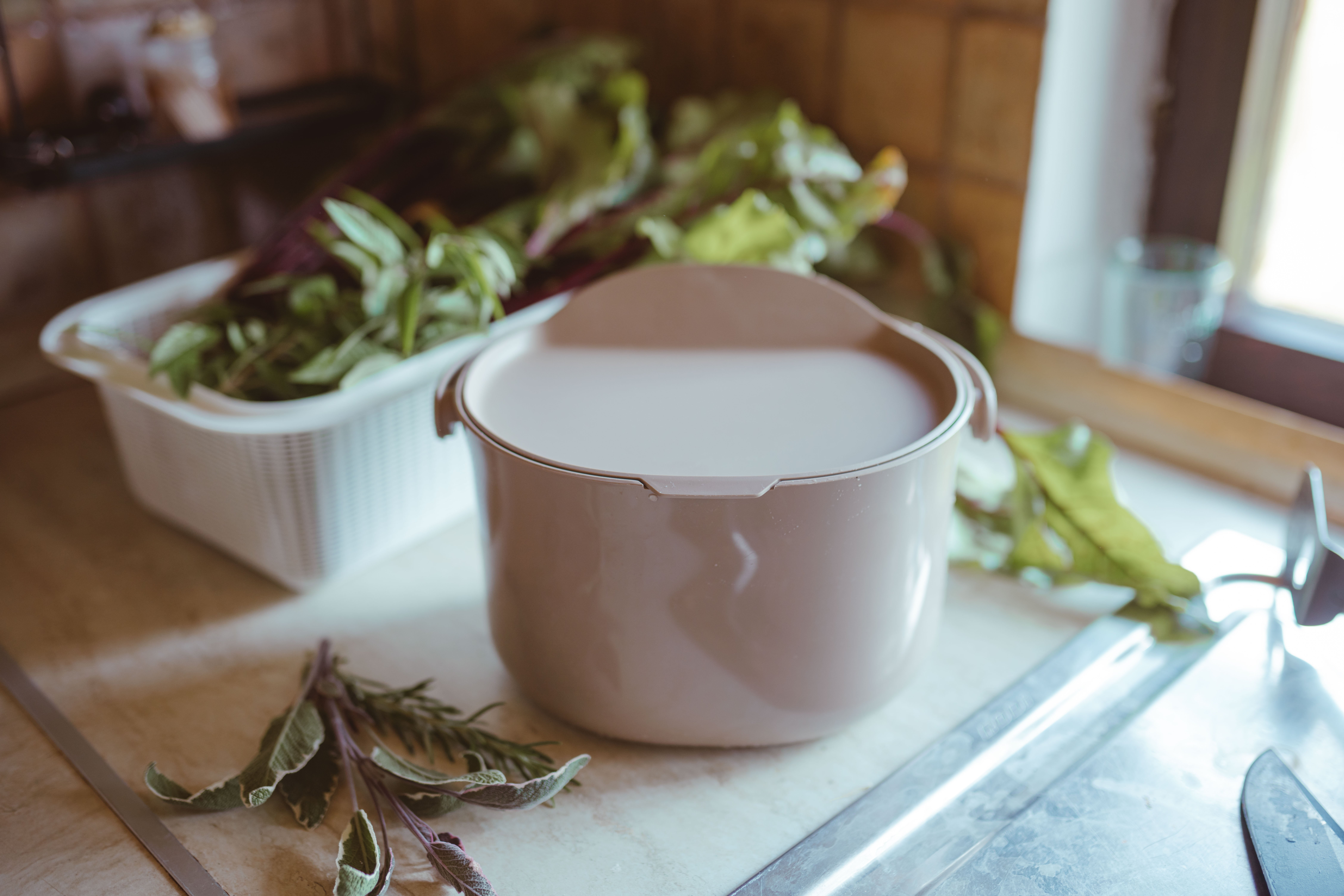 2024_05_Bokashi Daily doma (close up)_ Klara Avsenik Žagar