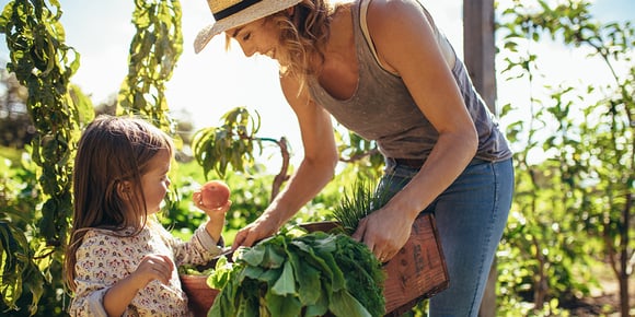 What is organic gardening and how to apply it at home in 3 easy steps