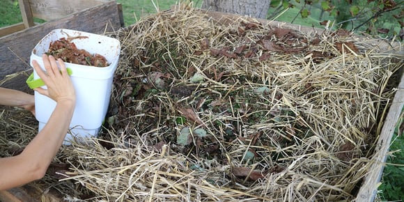 Different ways of composting