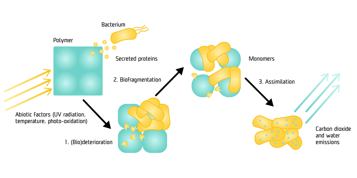 End of life - bioplastic solutions-1