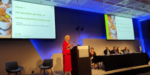 Skaza at the World Congress Creators for Centuries in Dubrovnik