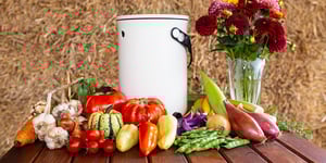 Bokashi Organko 2 recognized as Desirable Development Product