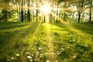 Carbon footprint reduction starts with every individual person in our company