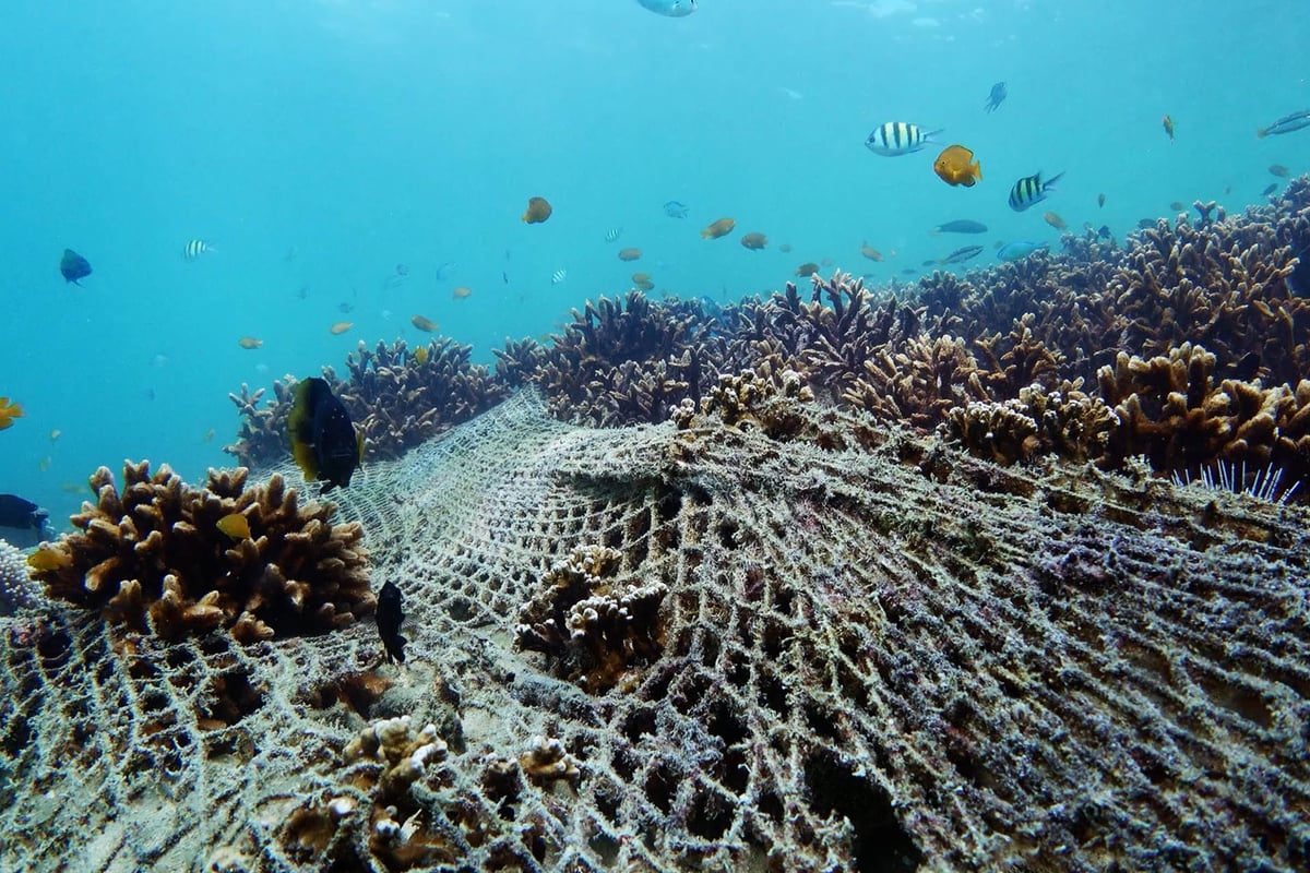 Prevent pollution with Bokashi Organko 2 Ocean